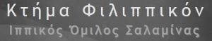 Κτήμα Γάμου Φιλιππικόν Σαλαμίνα