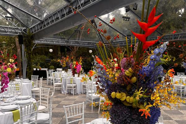 Etoimazo Gamo Aigli Zappeiou Etoimazo Gamo Aigli Zappeiou