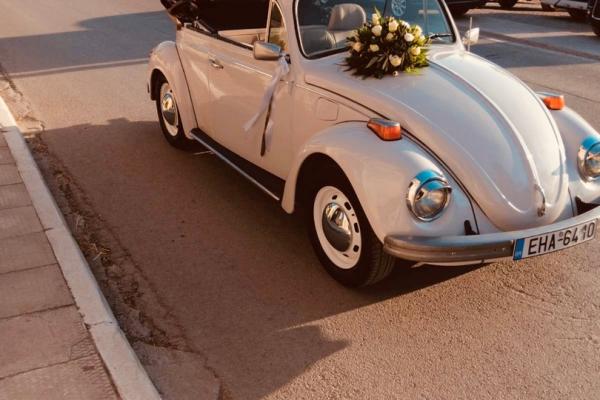 Cactus Car
