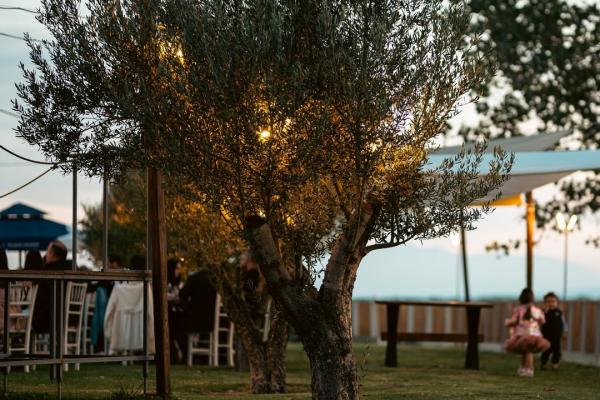 Κτήμα Αξιού Θέασις -Δεξίωση Γάμου- Θεσσαλονίκη