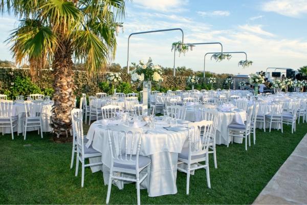  ktima_anthemis_etoimazogamo